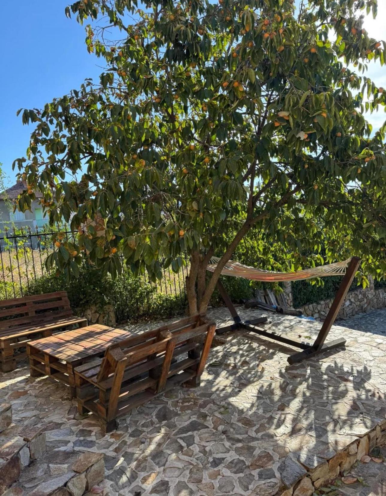 Sunshine Villa Dzhigurovo Sandanski Zewnętrze zdjęcie