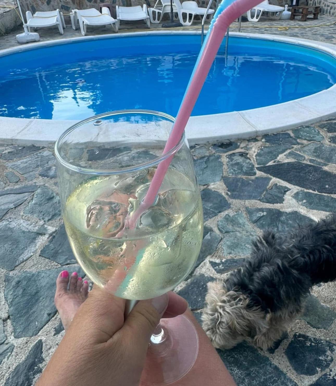 Sunshine Villa Dzhigurovo Sandanski Zewnętrze zdjęcie